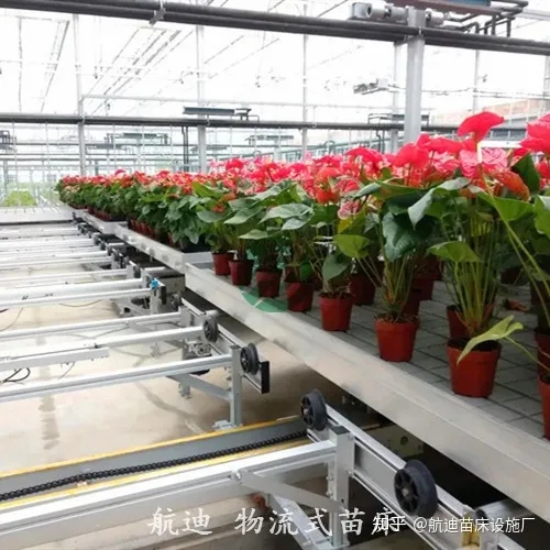 物流式苗床潮汐式物流苗床智能温室设施