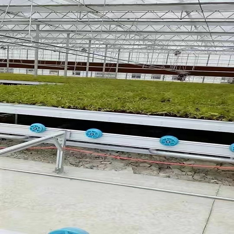 连栋温室全自动潮汐式物流苗床温室大棚养花育苗床半自动移动苗床
