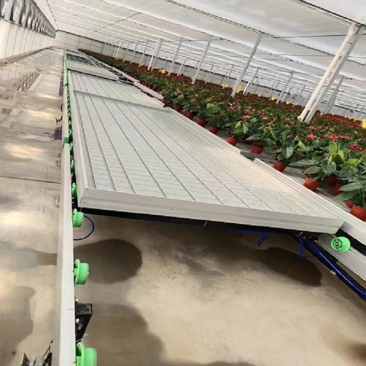 连栋温室全自动潮汐式物流苗床温室大棚养花育苗床半自动移动苗床