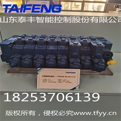 泰丰厂家直销多路阀