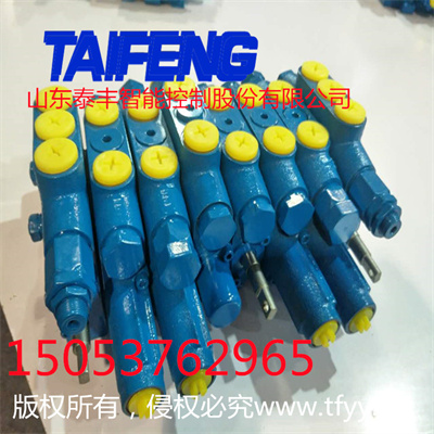 山东泰丰厂家可加工定制多路阀山东泰丰智能控制股份有限公司