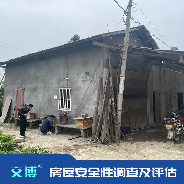 房屋建筑物安全评估,过程测量变形观测,房屋调查监测