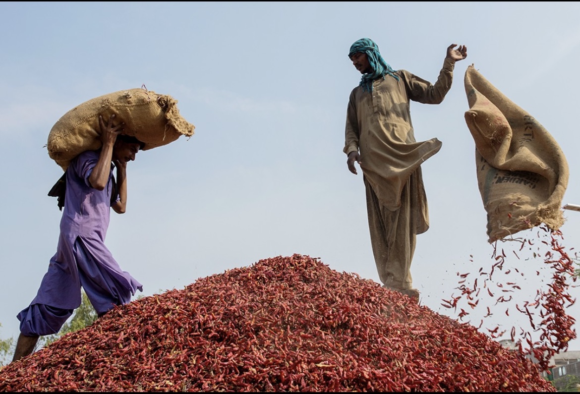宁波港进口马来西亚干辣椒香叶详细清关流程资料