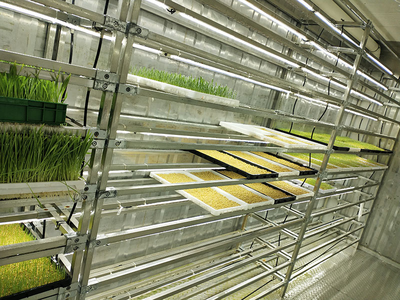 新型水培牧草种植设备--金欣农业