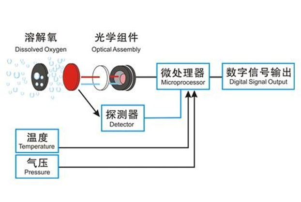 Y507-A便携式溶解氧传感器-禹山传感苏州禹山传感科技有限公司