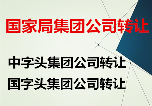 国家局集团公司转让,中字头彰显实力