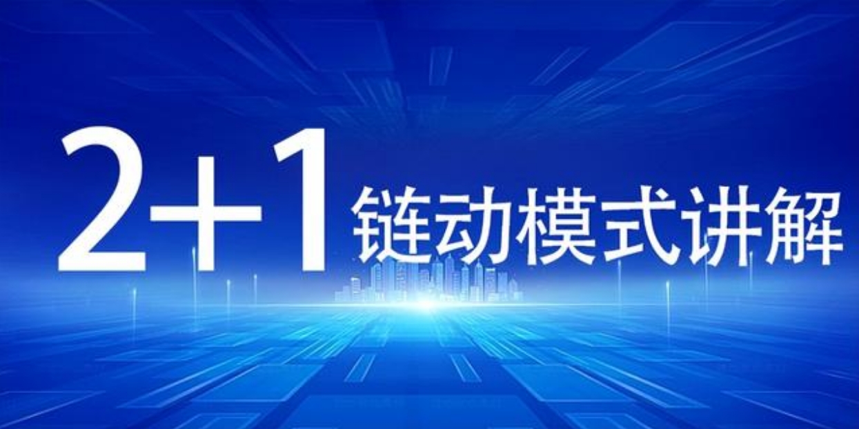 链动2+1软件公司广州开发