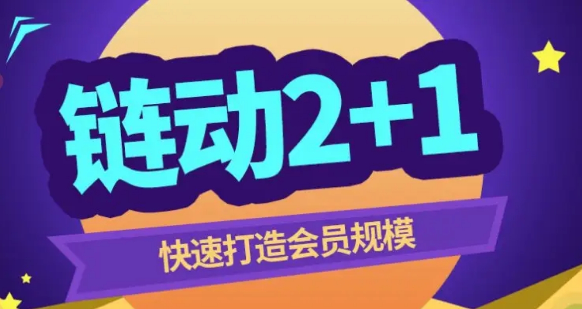 链动2+1软件公司广州开发