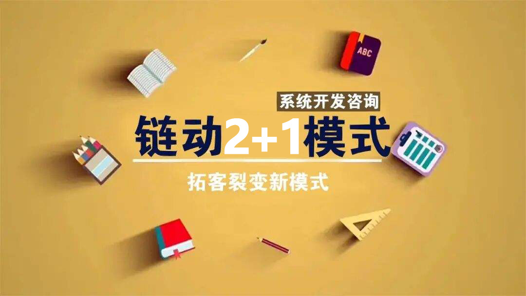 链动2+1软件公司广州开发