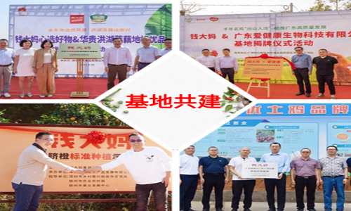 SFE2024第38届上海国际连锁加盟展览会