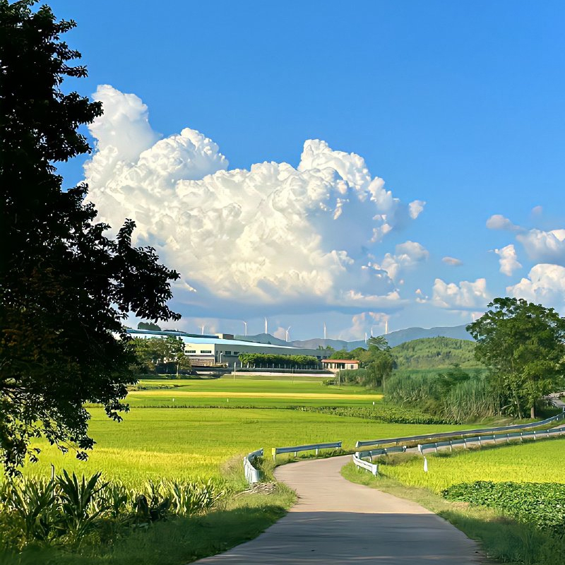 旅游小程序