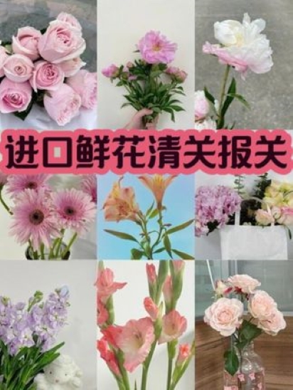 鲜花进口清关报关