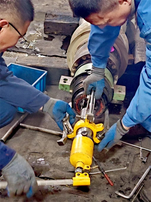 污水设备 Z4E 进口卧螺离心机故障维修 差速器损坏维保