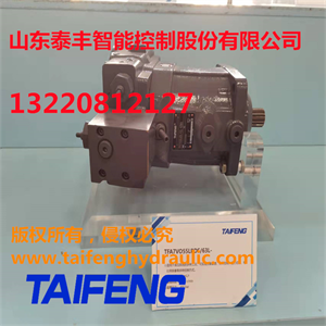 泰丰TFA7VO160LR/10-LRB2柱塞泵