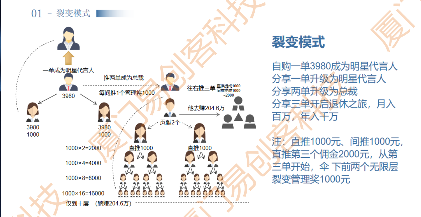 甄美天使商业模式新零售渠道运营起盘