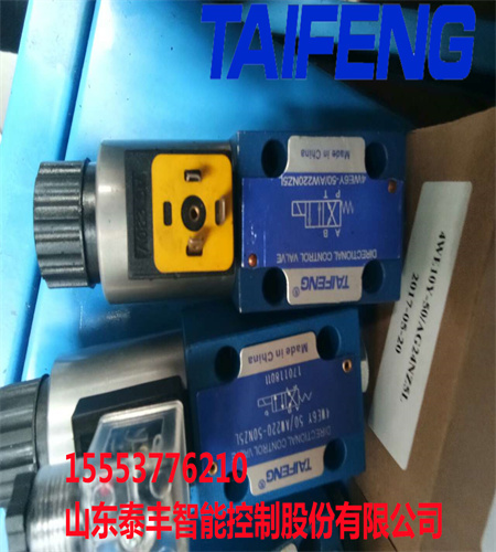 供应泰丰品牌优质电磁阀4WE6M-50/AG24NZ5L