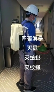 灭鼠公司