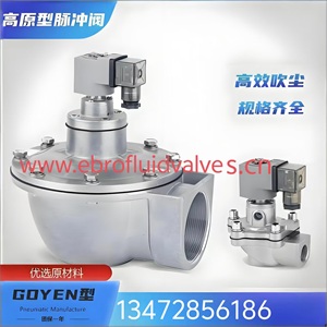 高原GOYEN电磁阀线圈20WATTS高原电磁脉冲阀线圈