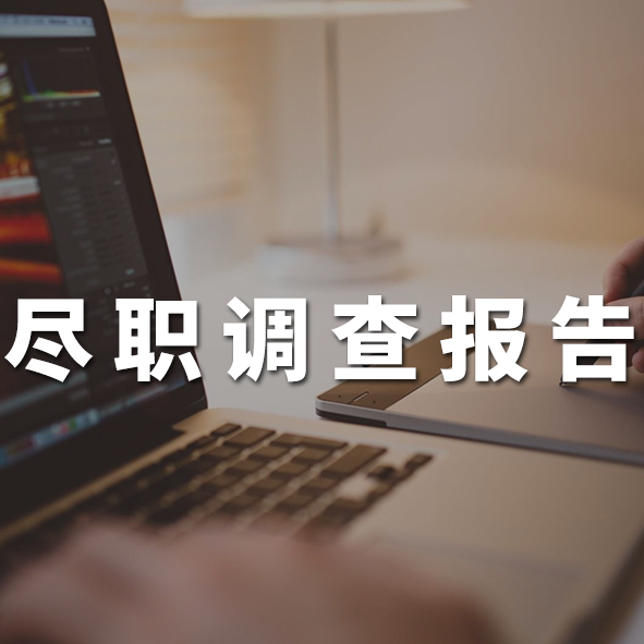 深圳拿地可行性研究报告代写