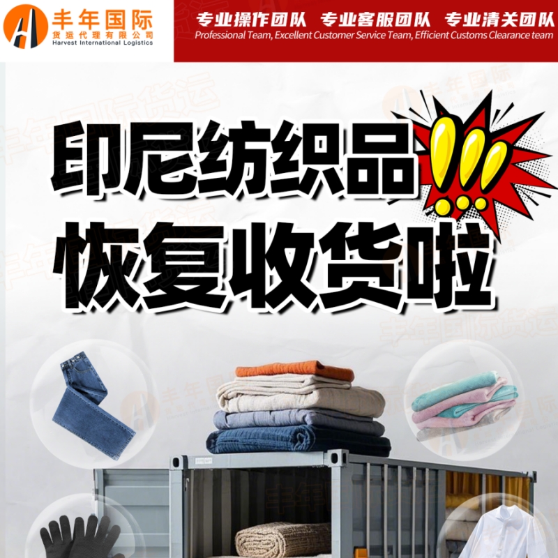 服装发印尼双清专线降价0.3立方起运门到门全包广州市丰年国际货运代理有限公司
