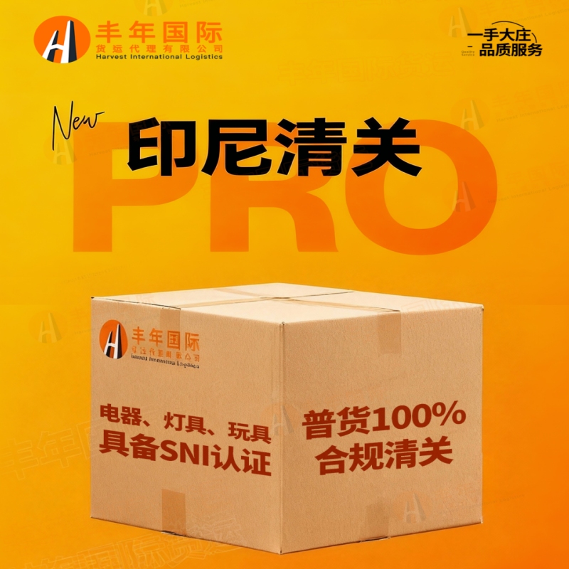 广州布条出口印度尼西亚雅加达，印尼Lazada跨境物流方案广州市丰年国际货运代理有限公司