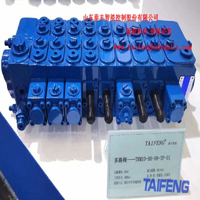 供应泰丰TRM25系列产品用于起重机旋挖钻