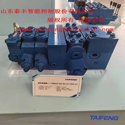 供应泰丰TRM25流量共享型工程机械液压元件
