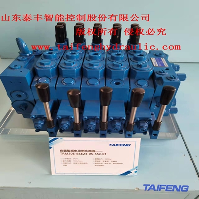 供应泰丰TRM20E系列多路阀用于7-10T挖掘机