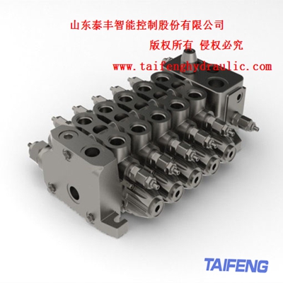 供应泰丰TRM25系列产品用于起重机旋挖钻