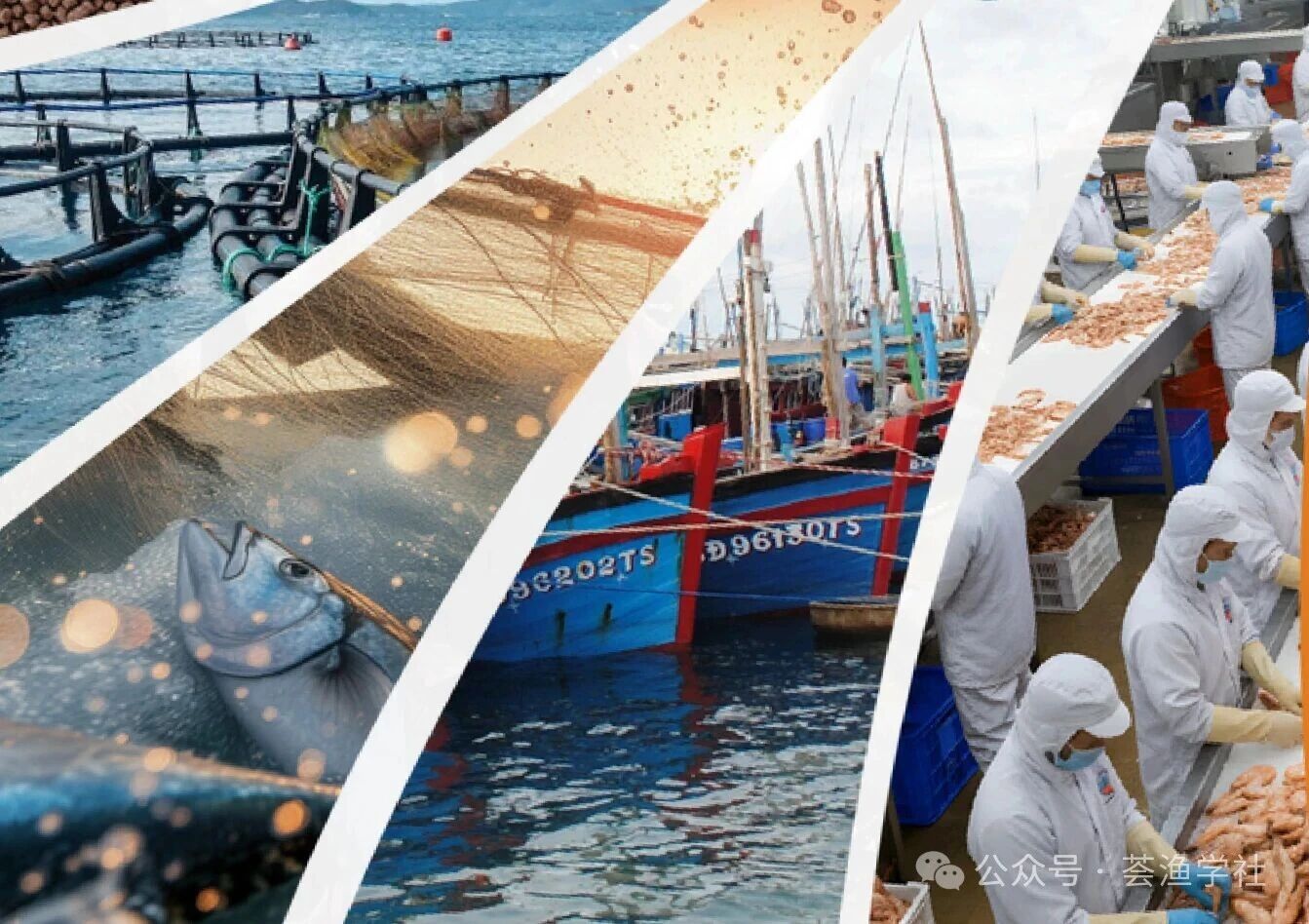 2026年越南水产科学与技术展