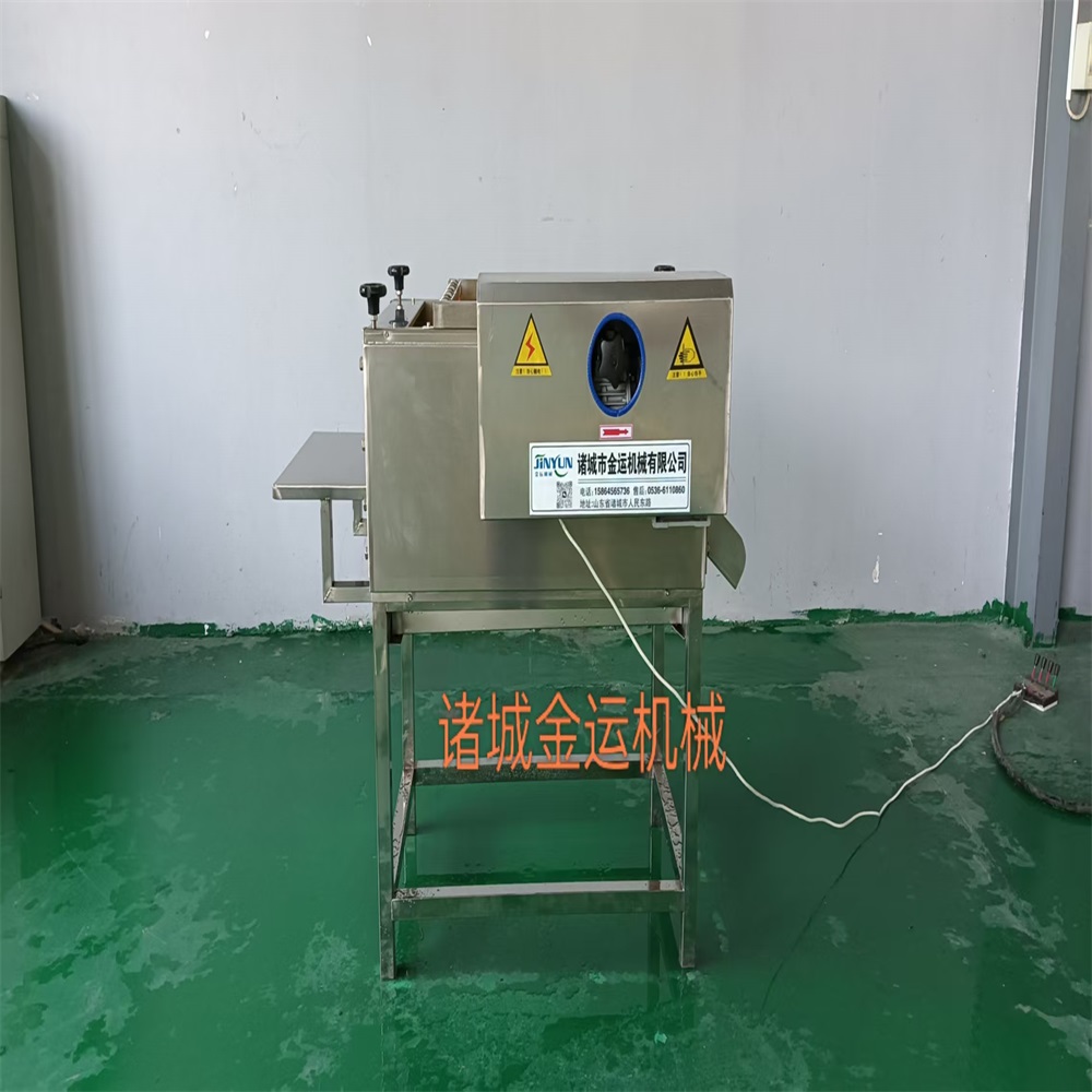 全自动粽叶清洗机 毛辊荷叶去毛机 芭蕉叶清洗设备 肉粽加工设备