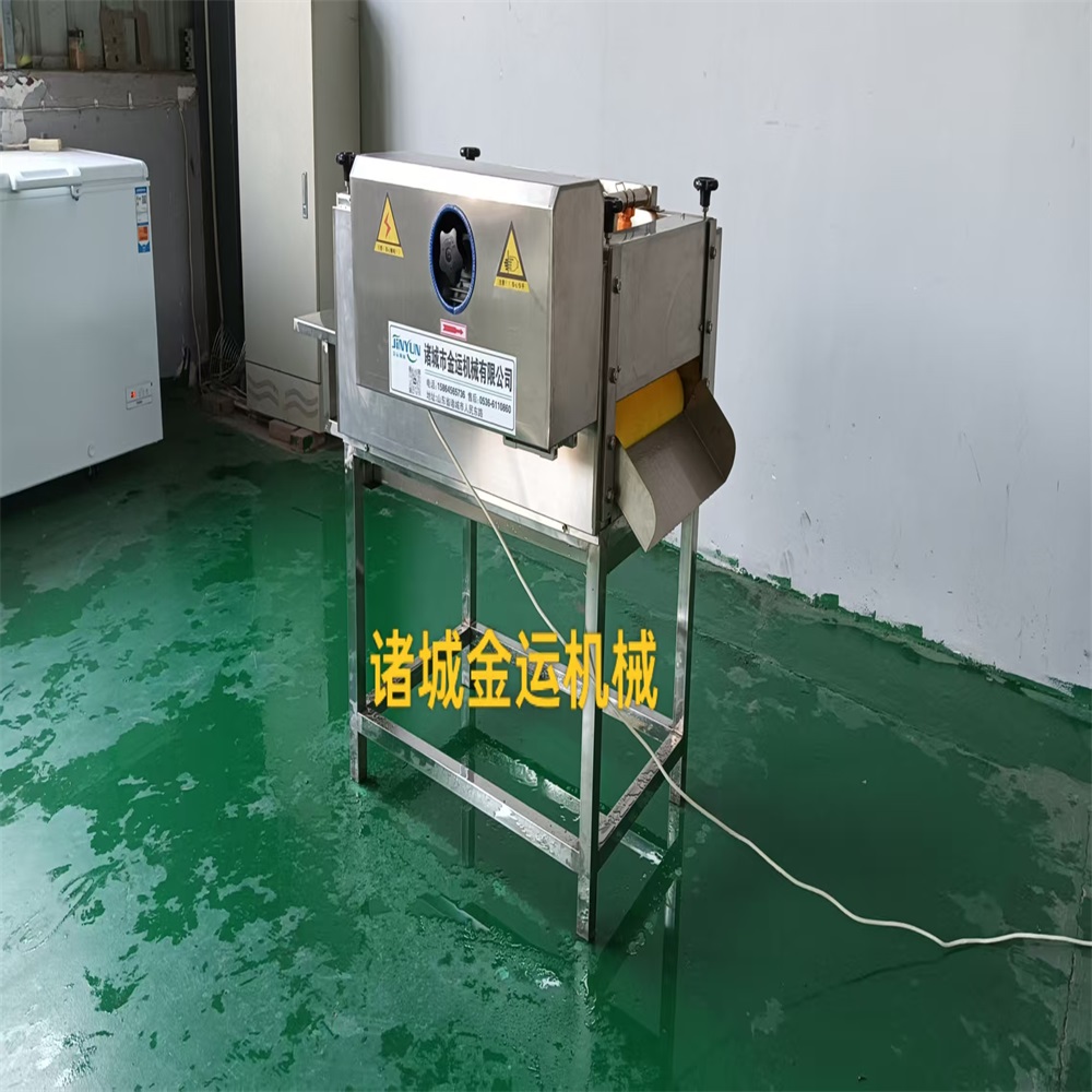 全自动粽叶清洗机 毛辊荷叶去毛机 芭蕉叶清洗设备 肉粽加工设备