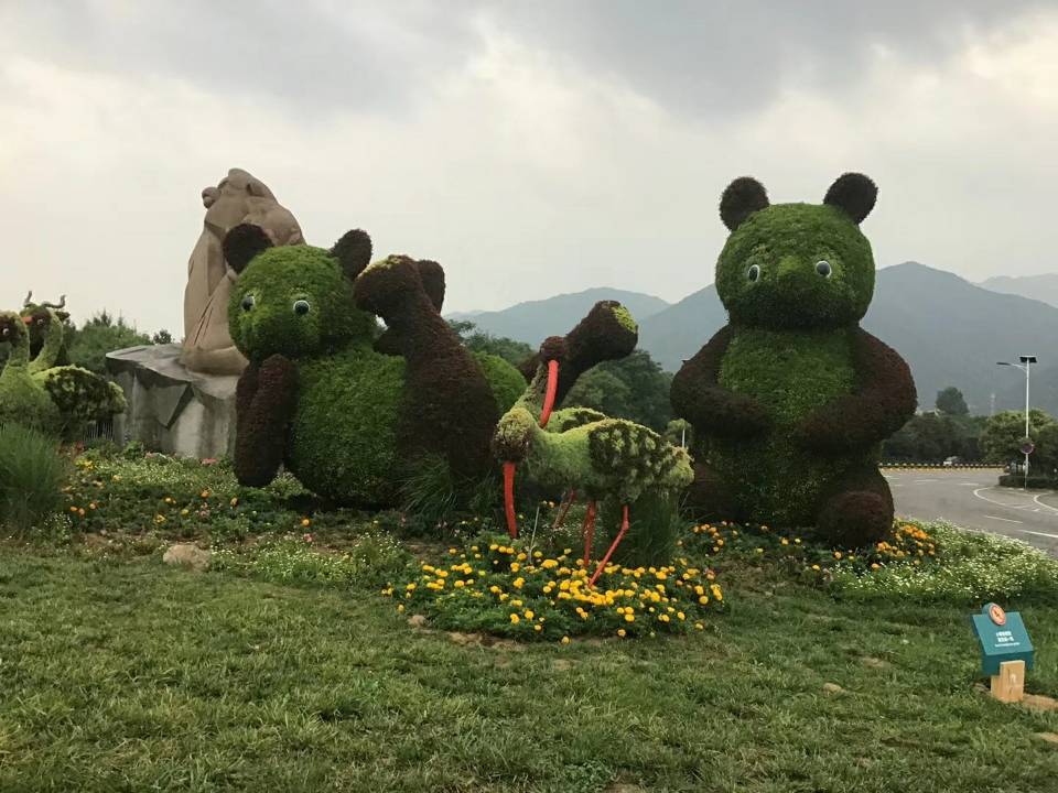 客户案例