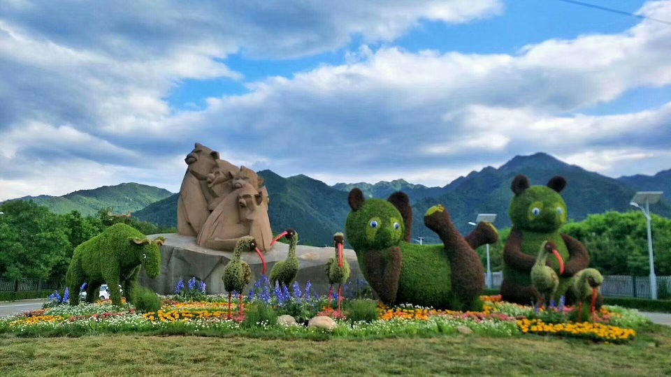 客户案例