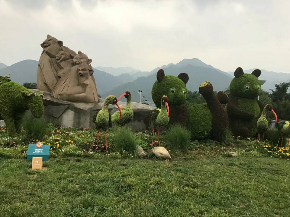 客户案例
