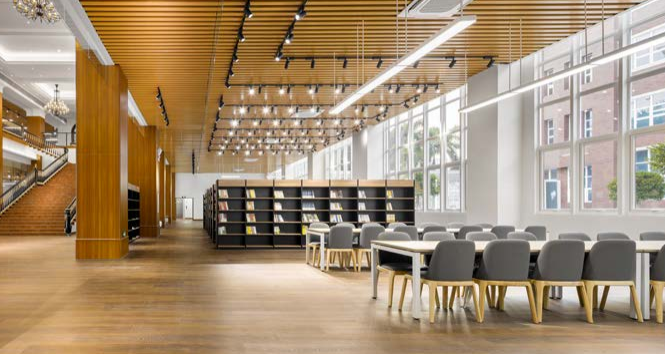 中山市迪茵公学学校