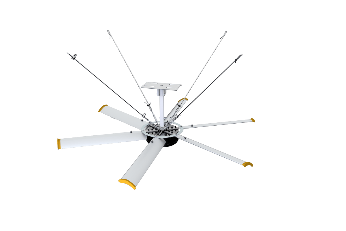 DCF-5H-3600