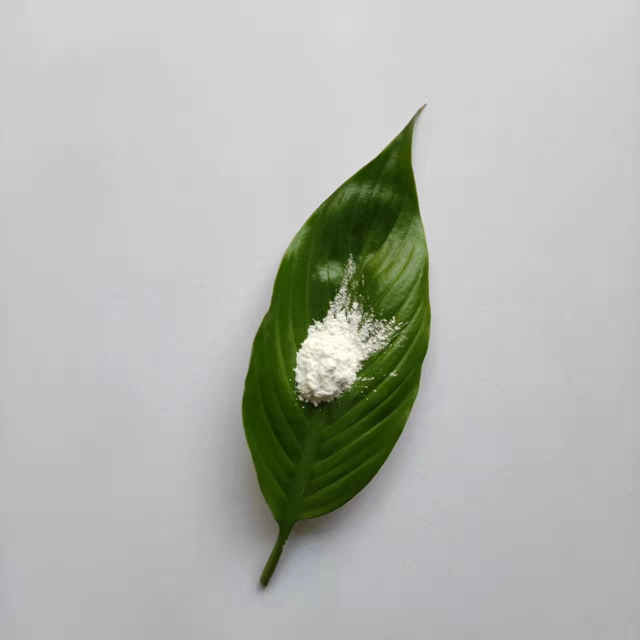 纳米磷酸铝 CY-AP20