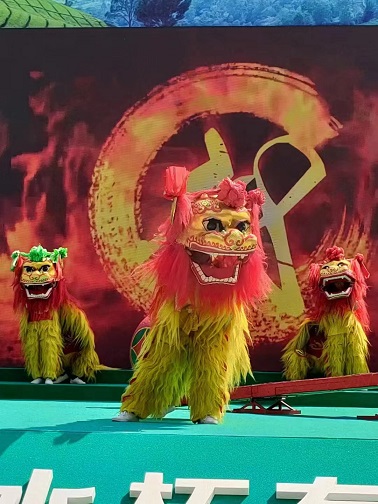 沧州非遗梅花桩舞狮表演