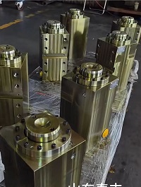 山东泰丰智能供应63T折弯机油缸WC67Y-63HDK-00
