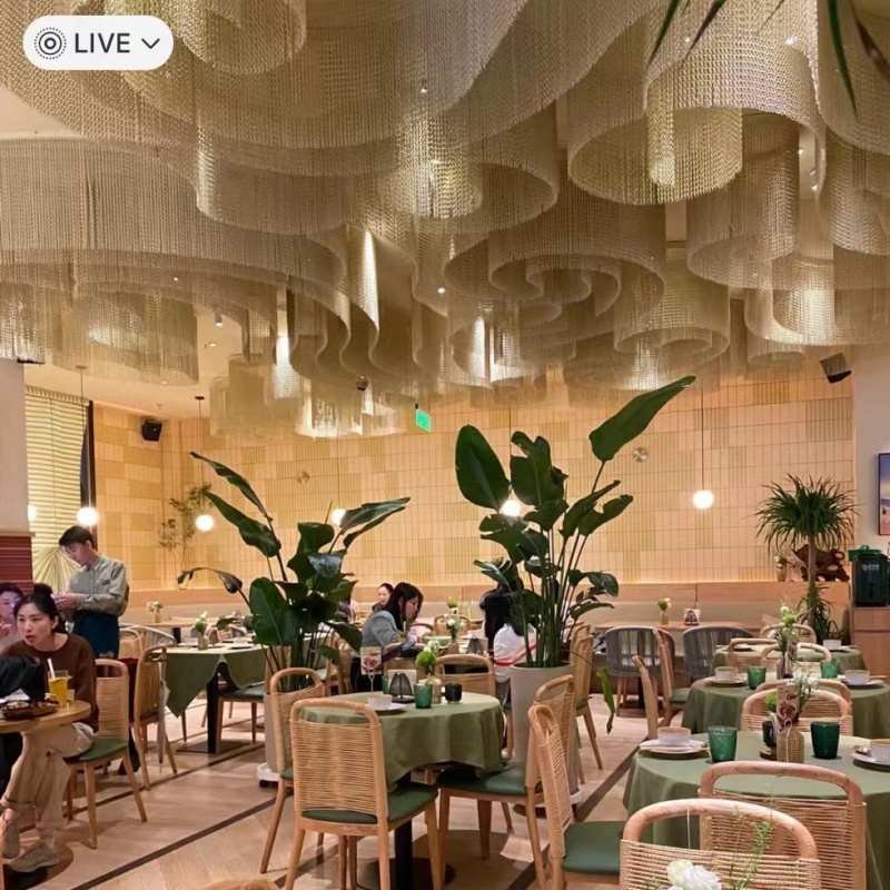 双钩铝帘效果图