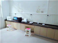 多元素快速分析仪