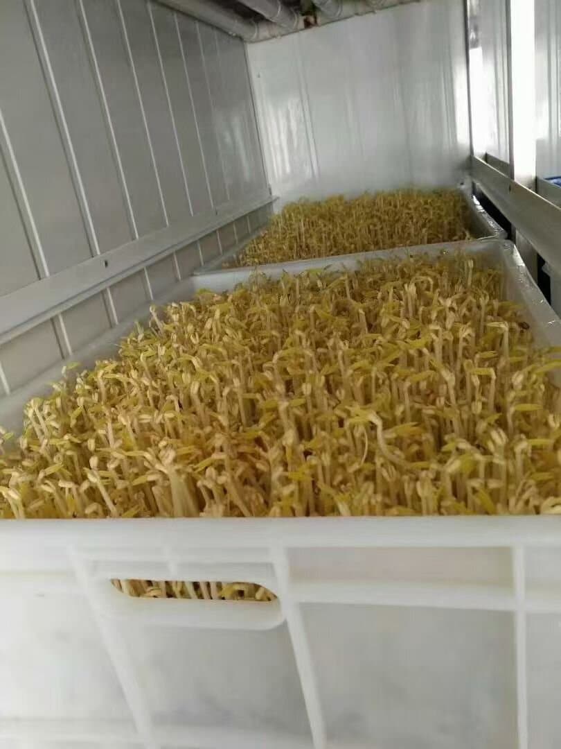 箱式机照片