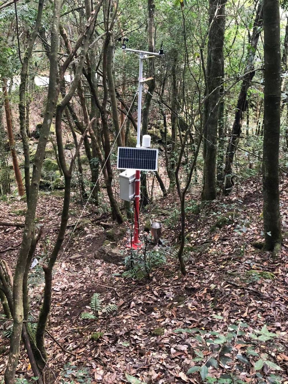 森林防火预警监测系统-温控更稳定