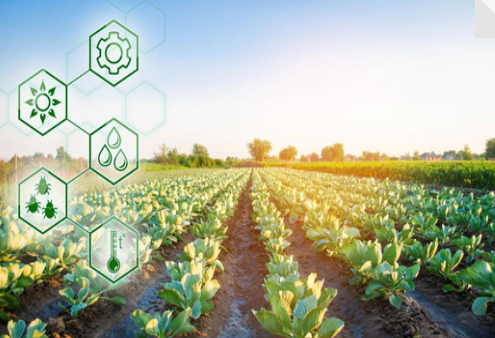 食品产品溯源,系统定制