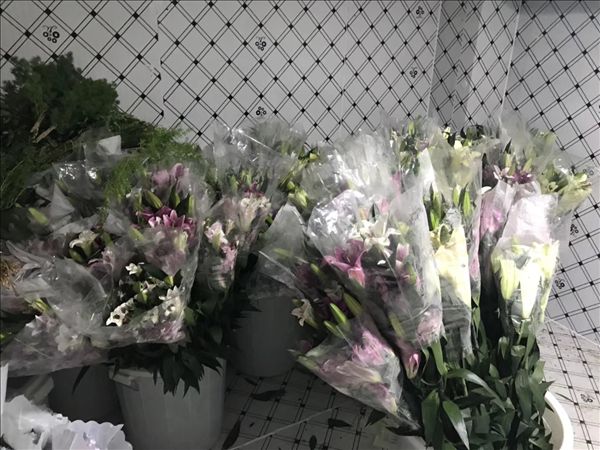 鲜花保鲜冷库