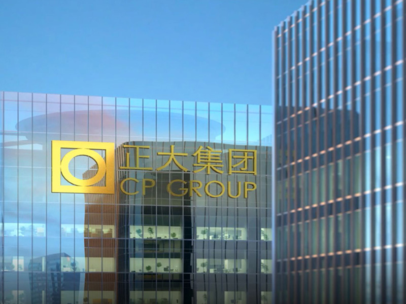 正大集团