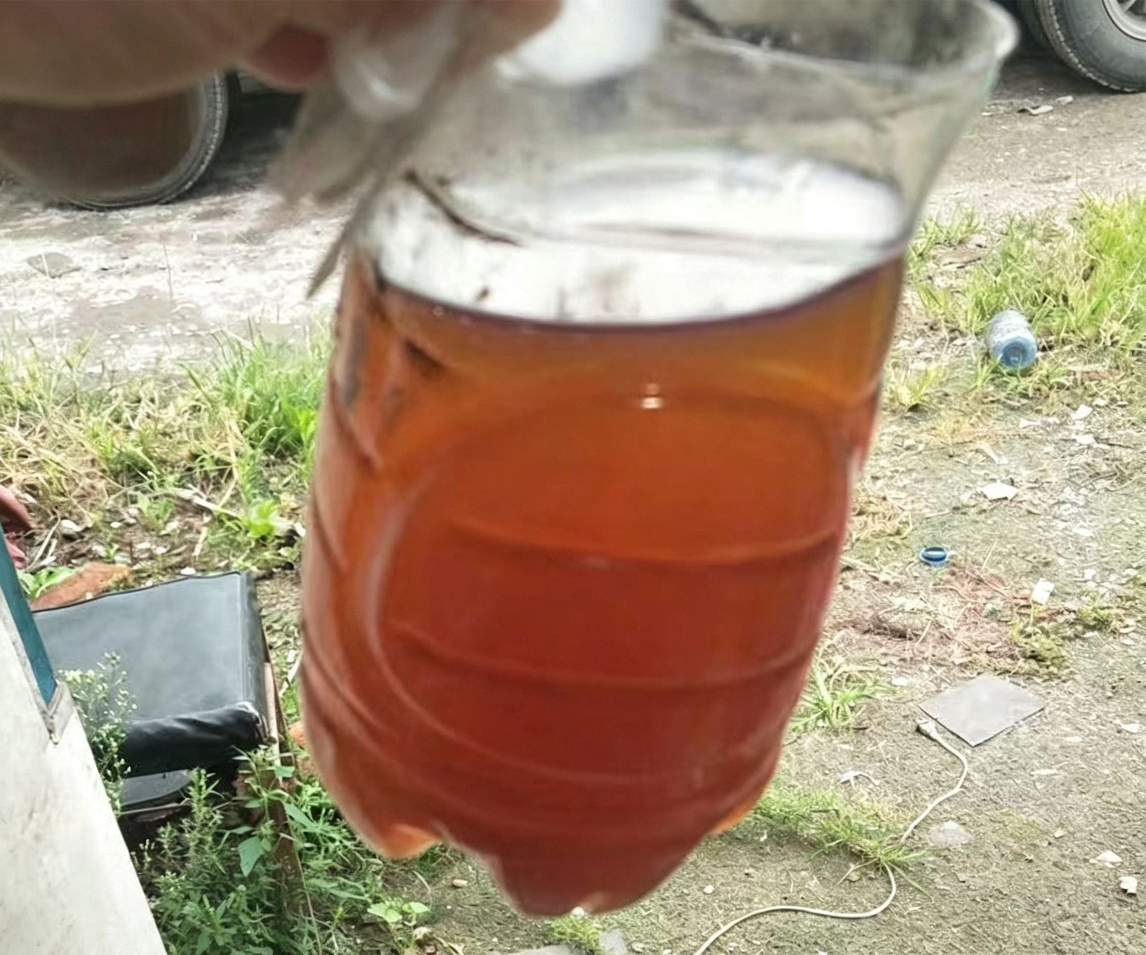 模板油