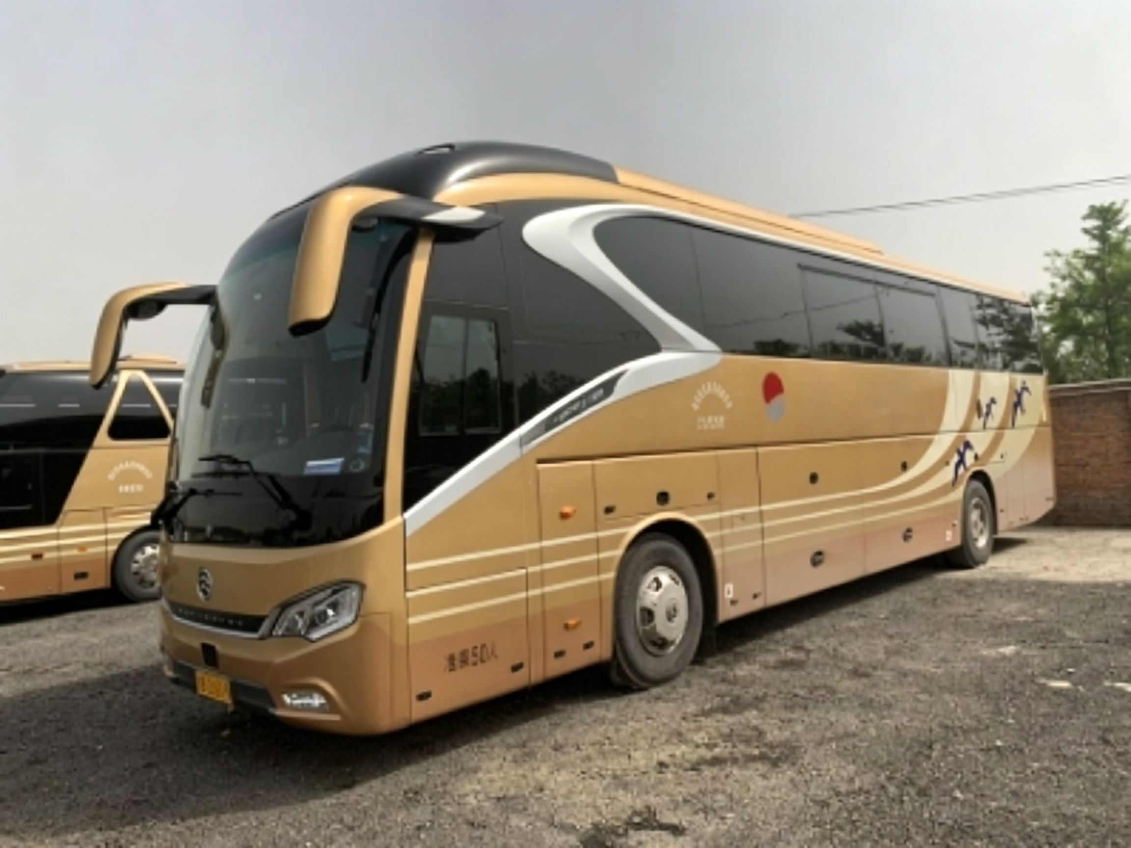 50座金旅大巴车